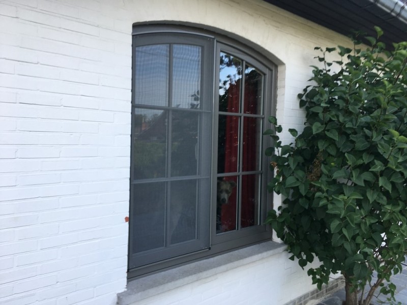 Rond raam met vliegenraam