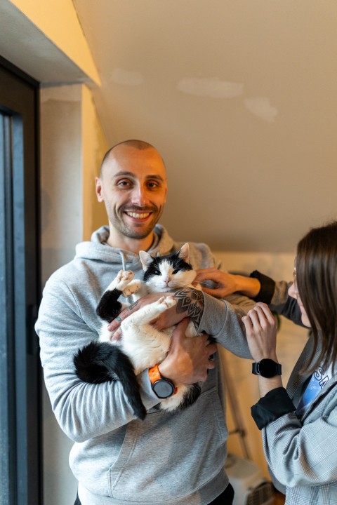 Gelukkige kat